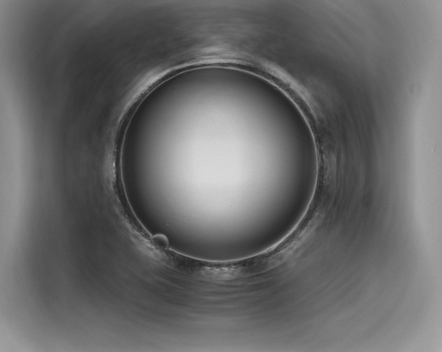 X0000116261415200911301144