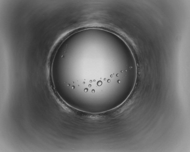 X0000116261416200911301144
