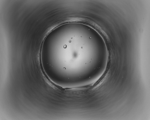 X0000116261417200911301144