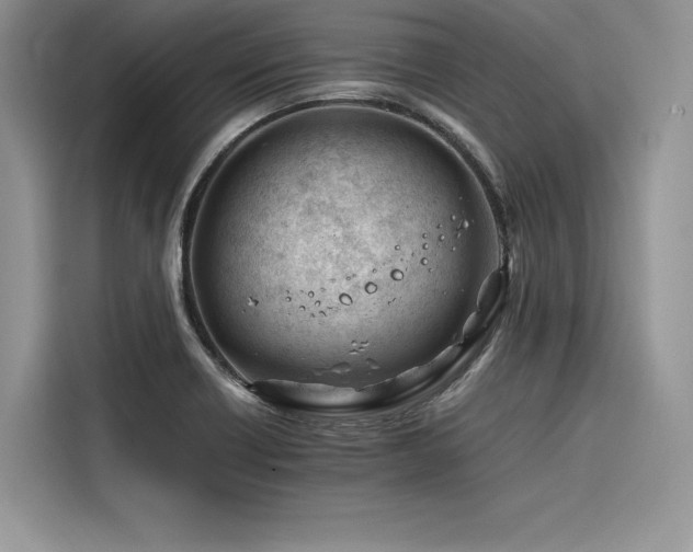 X0000116261418200911301144