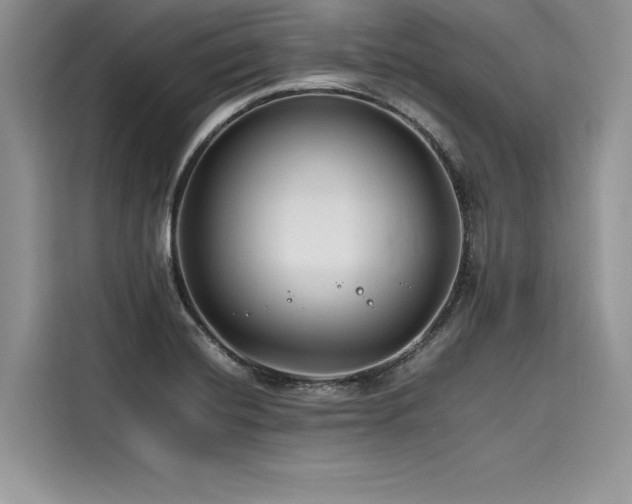 X0000116261420200911301144