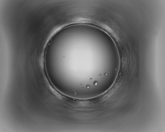 X0000116261421200911301144