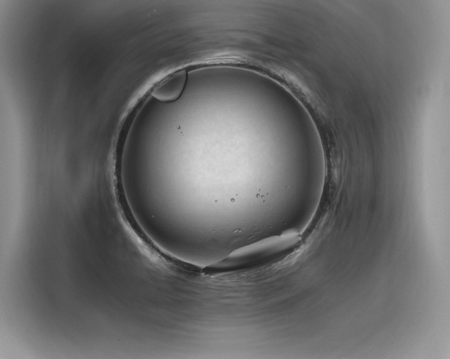 X0000116261422200911301144