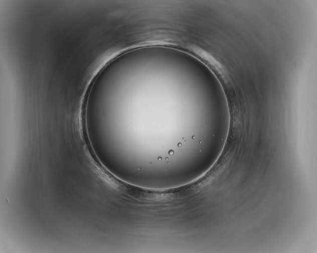 X0000116261423200911301144