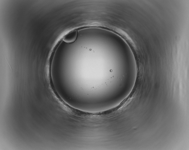 X0000116261424200911301144