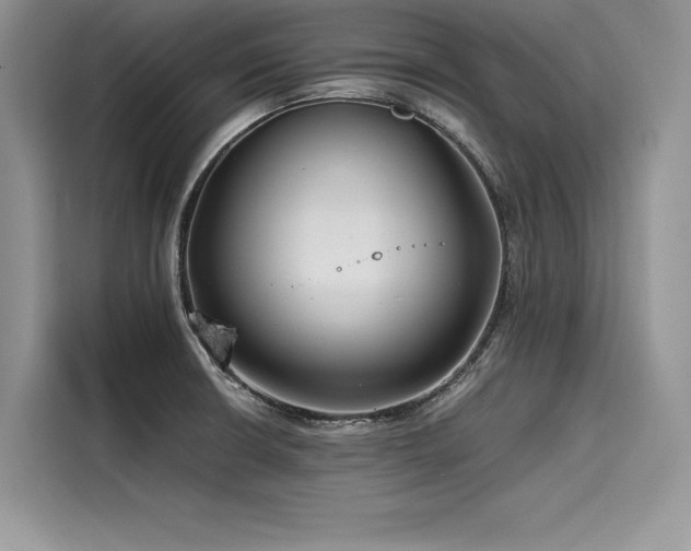 X0000116261426200911301144