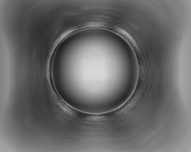 X0000116261427200911301144