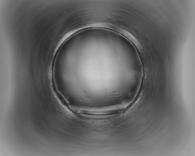 X0000116261428200911301144