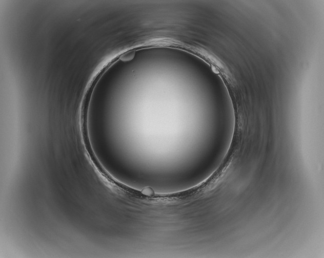 X0000116261430200911301144