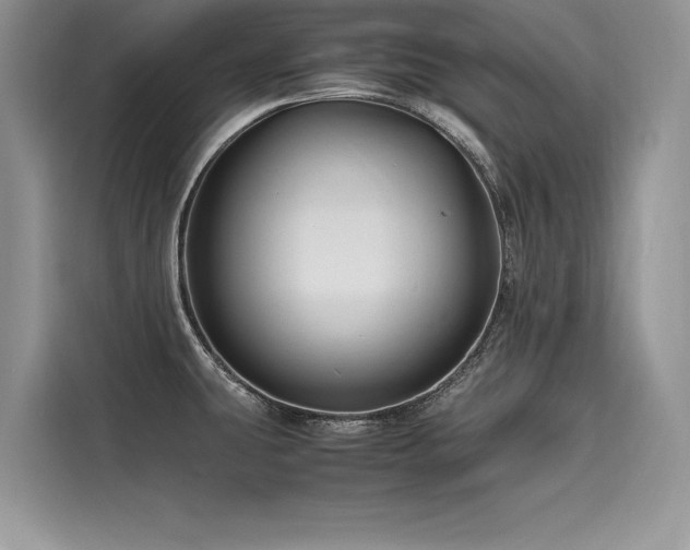 X0000116261431200911301144