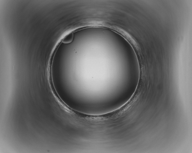 X0000116261432200911301144