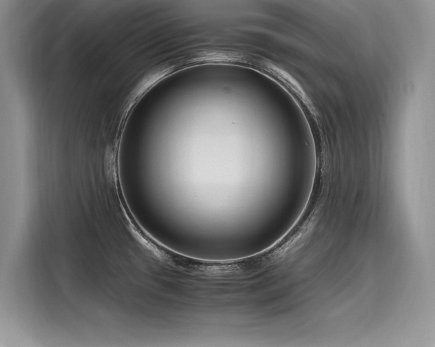 X0000116261433200911301144