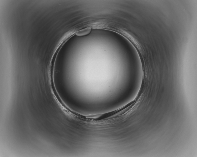 X0000116261434200911301144