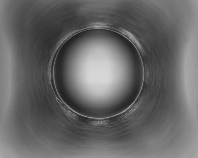 X0000116261435200911301144