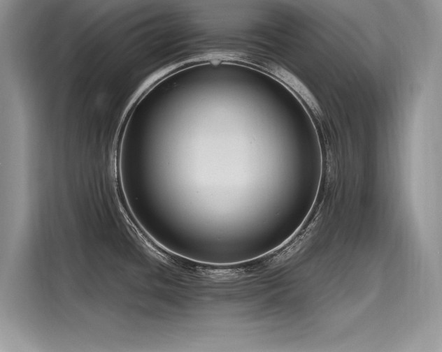 X0000116261436200911301144