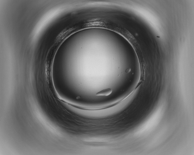 X0000116261438200911301144