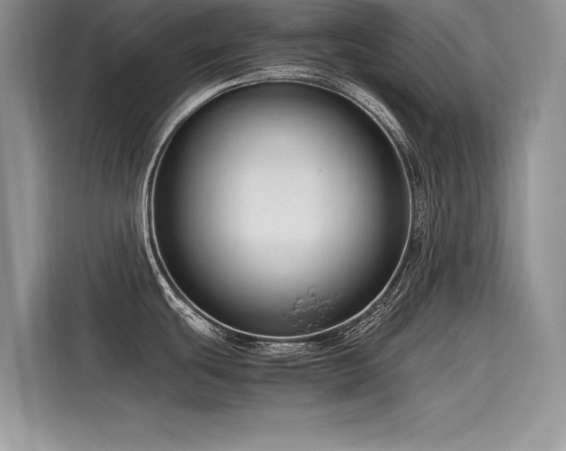 X0000116261439200911301144