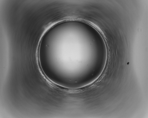 X0000116261440200911301144