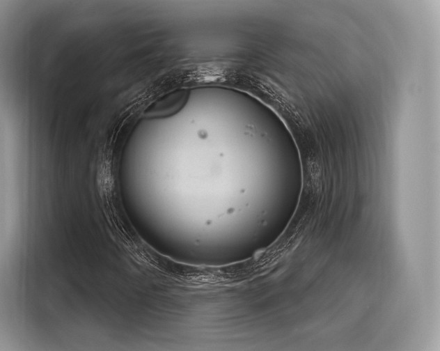 X0000116261442200911301144