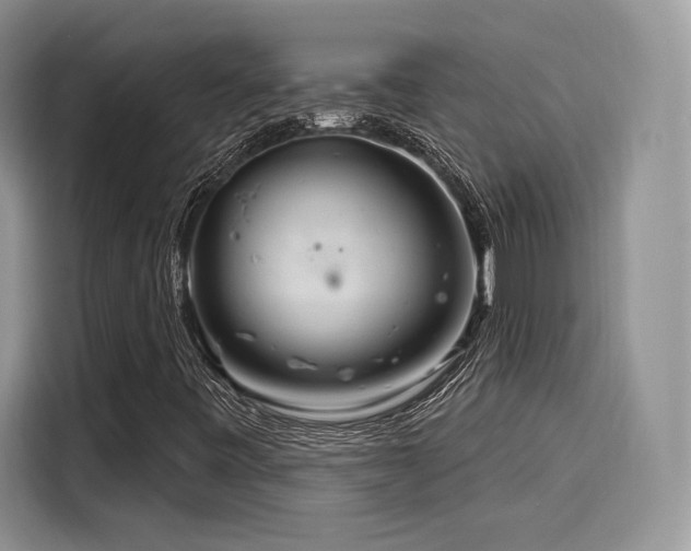 X0000116261443200911301144