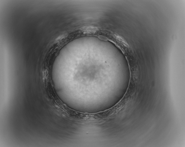 X0000116261445200911301144