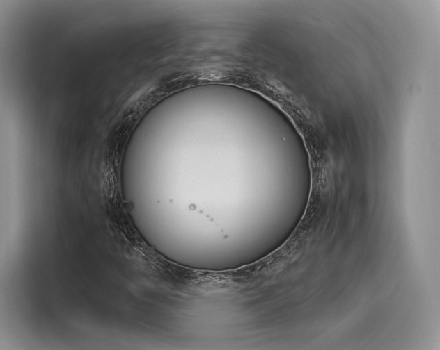 X0000116261446200911301143