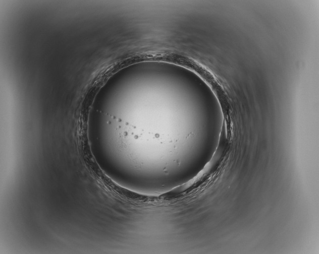 X0000116261447200911301143