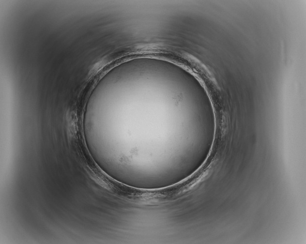 X0000116261449200911301143