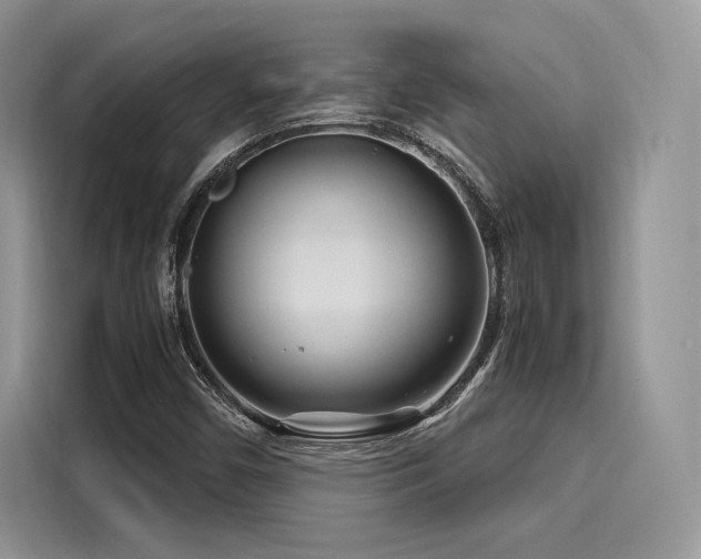 X0000116261450200911301143