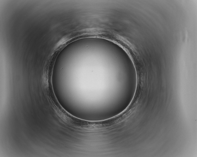X0000116261451200911301143