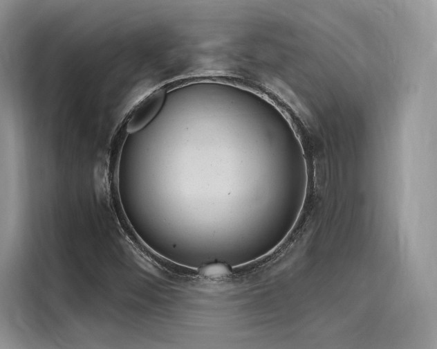 X0000116261452200911301143