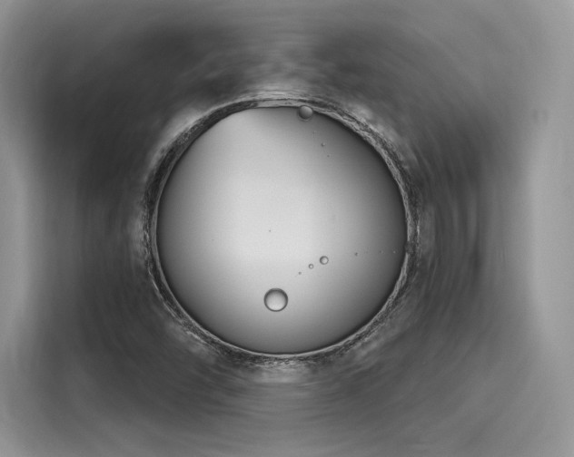 X0000116261454200911301143
