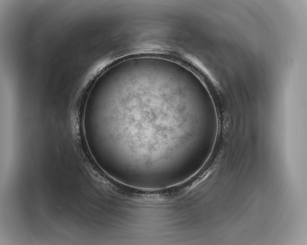 X0000116261455200911301143