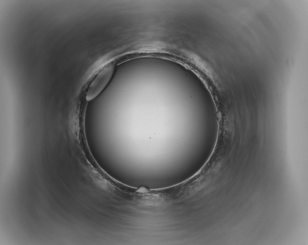 X0000116261456200911301143