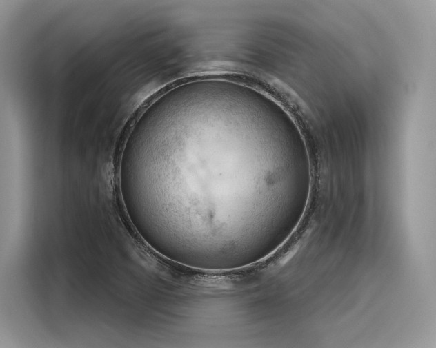 X0000116261457200911301143