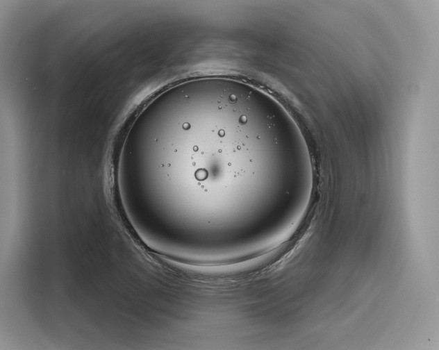 X0000116261461200911301143