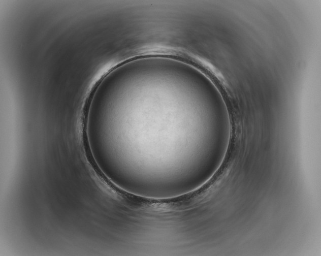 X0000116261463200911301143