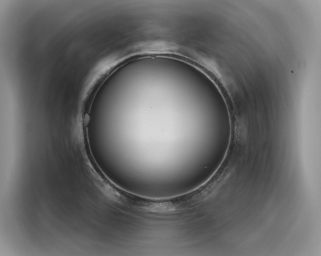 X0000116261464200911301143