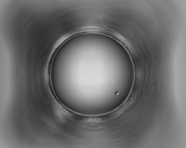 X0000116261466200911301143
