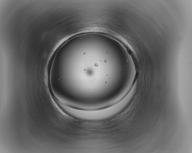 X0000116261468200911301143