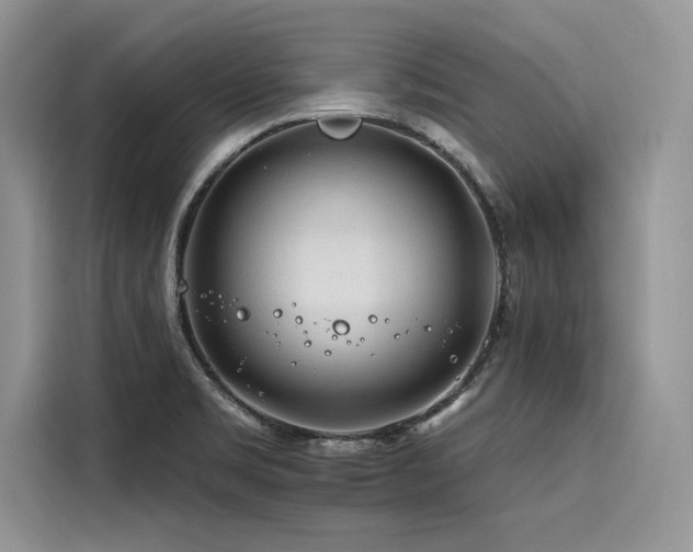 X0000116261469200911301143