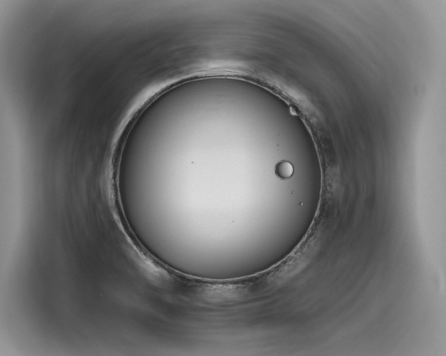 X0000116261470200911301143