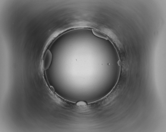 X0000116261472200911301143