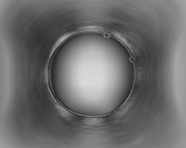 X0000116261474200911301143