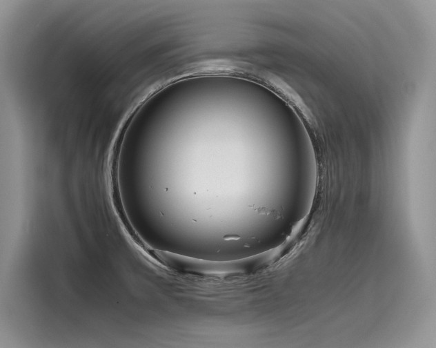 X0000116261475200911301143