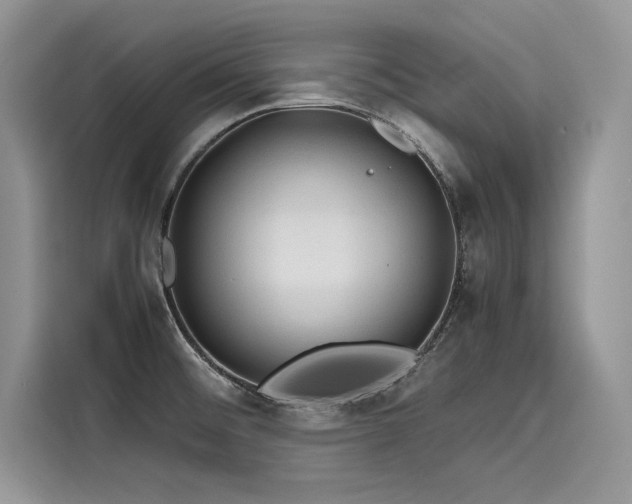 X0000116261476200911301143