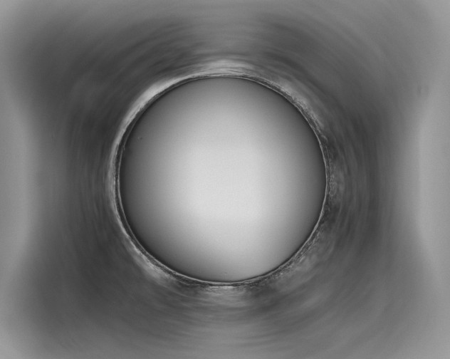 X0000116261478200911301143