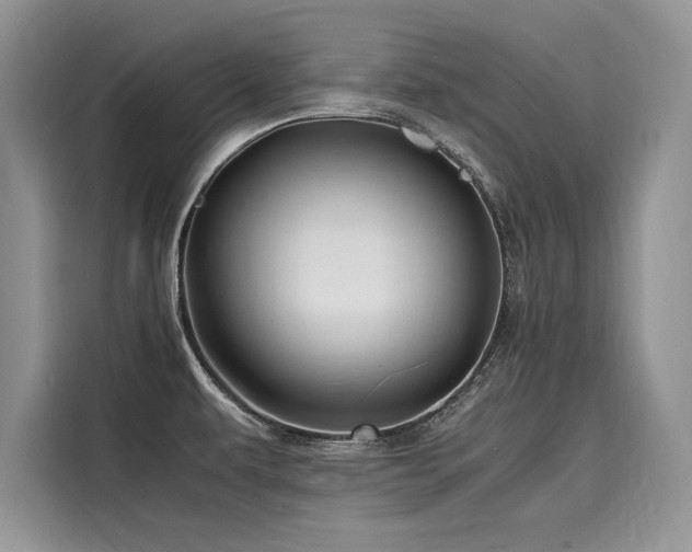 X0000116261479200911301143