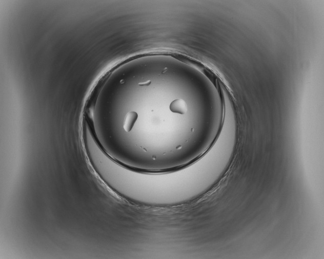X0000116261480200911301143
