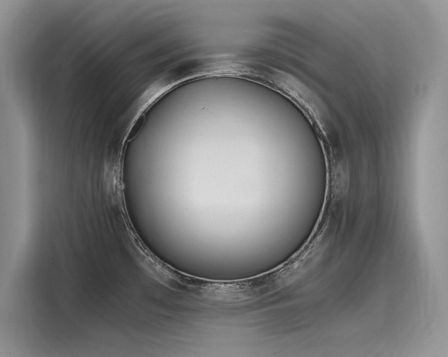 X0000116261481200911301143